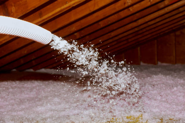 Types of Insulation We Offer in Cape Coral, FL