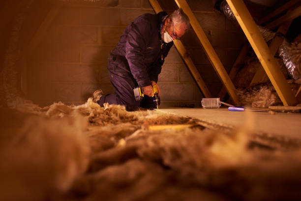 Best Blown-in Insulation in Cape Coral, FL